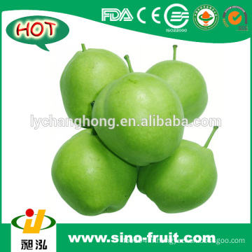 [CHAUD] Chine frais Su Pear (vert et blanc)